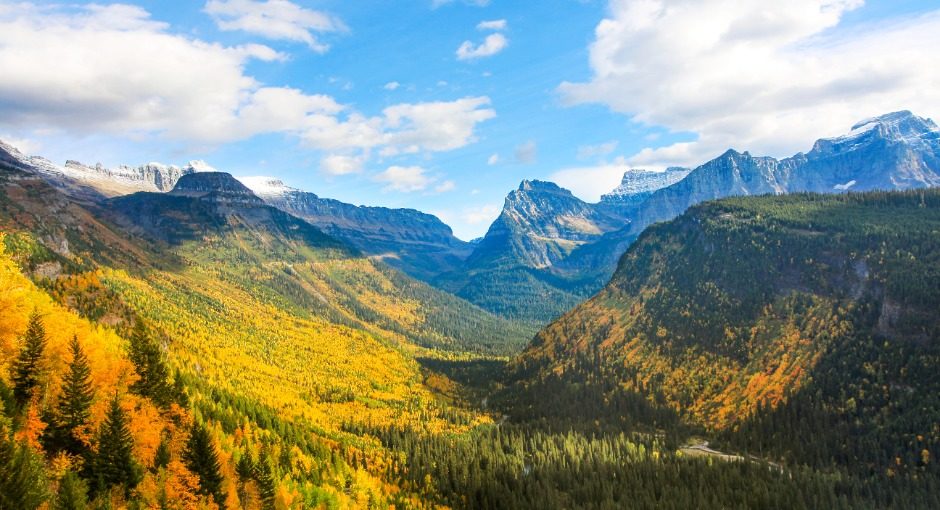 Going-to-the-Sun Road provides the perfect vantage point to bask in all the fall colors of Glacier National Park.