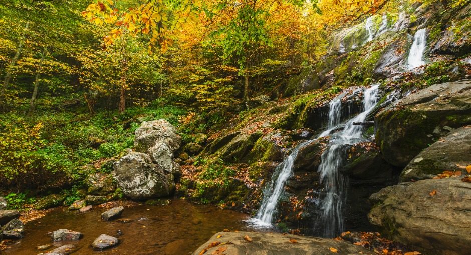 The cooler temperatures of fall make exploring Shenandoah's 516 miles of trail much easier than in summer.