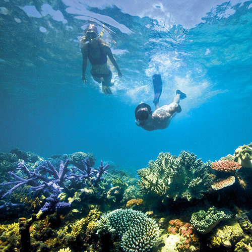 The pristine waters surrounding Dry Tortugas National Park are perfect for snorkeling.