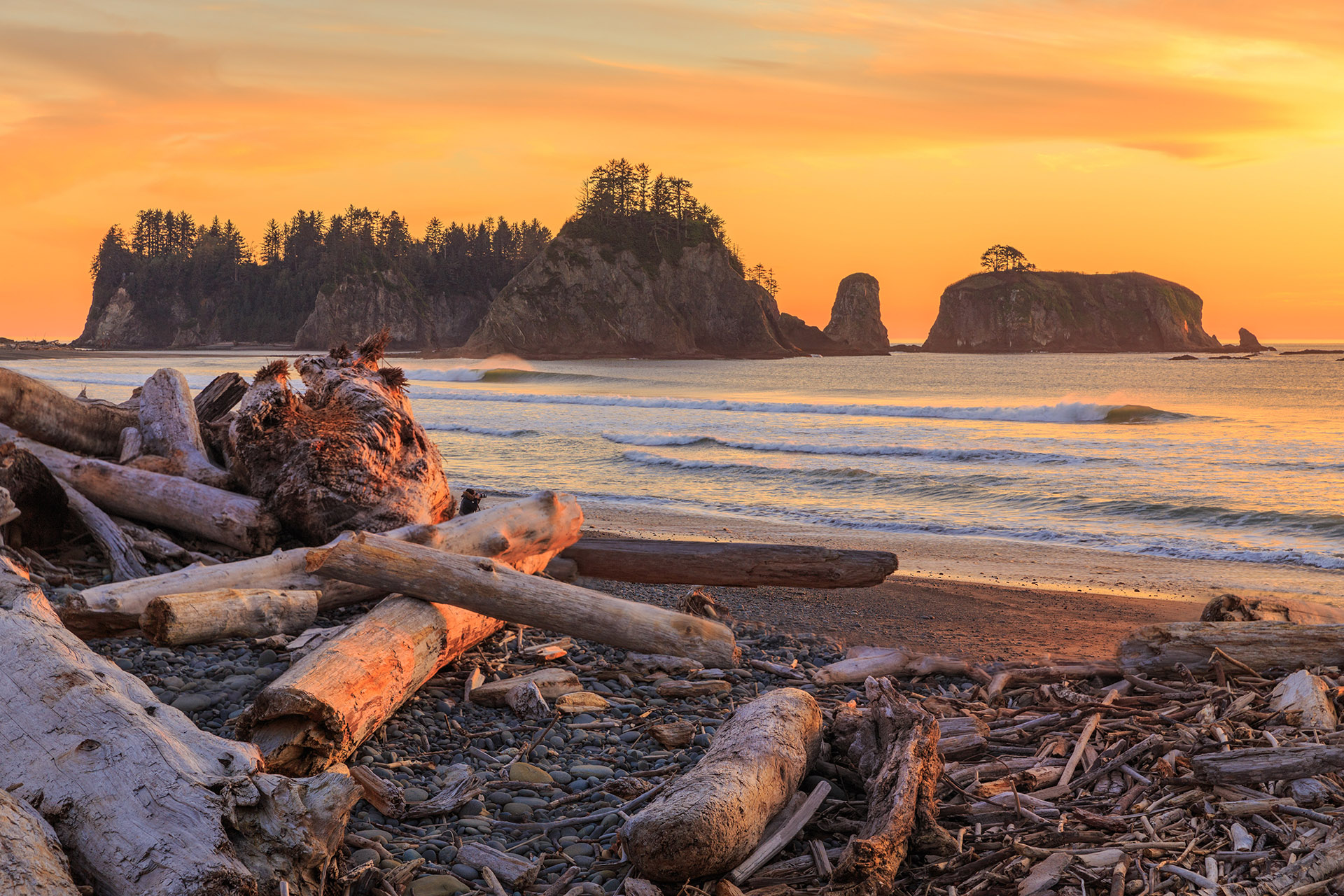Win A Trip to Olympic National Park