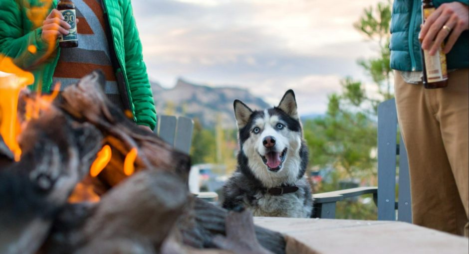 Grab a drink at Latitude 105 Alehouse and chill next to the fire with your pup at the Ridgeline Hotel Estes Park.
