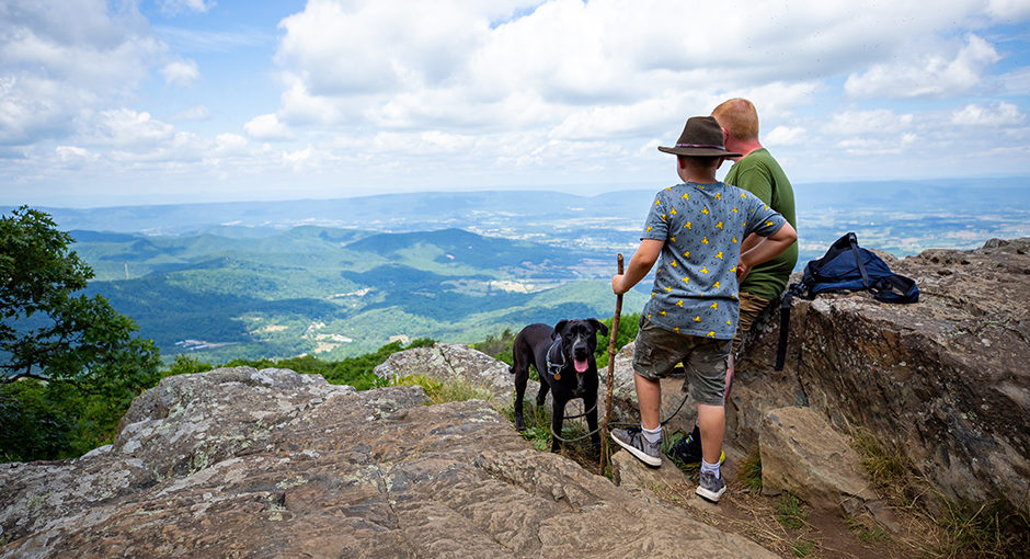 Did you know that Shenandoah National Park is home to over 500 dog-friendly trails? No need to leave the dogs behind on your adventure here!