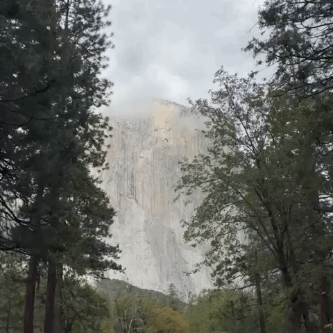 On a fall night, if you see what looks like stars on the face of El Capitan, you are seeing headlamps from the many climbers attempting the ascent.